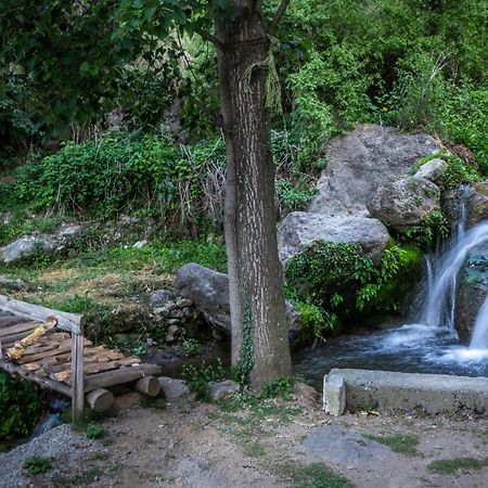 Babutaal Resort Chakrata Εξωτερικό φωτογραφία