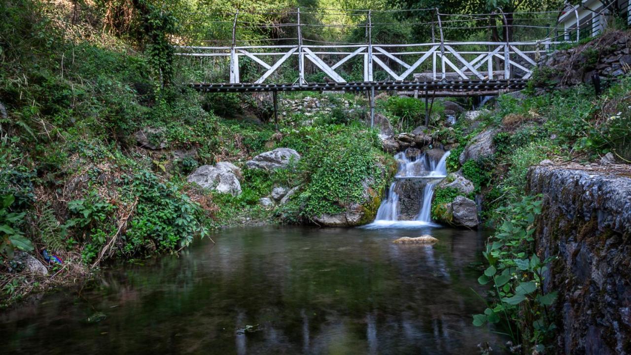 Babutaal Resort Chakrata Εξωτερικό φωτογραφία